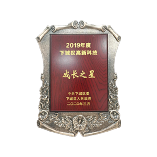2019年度成长之星