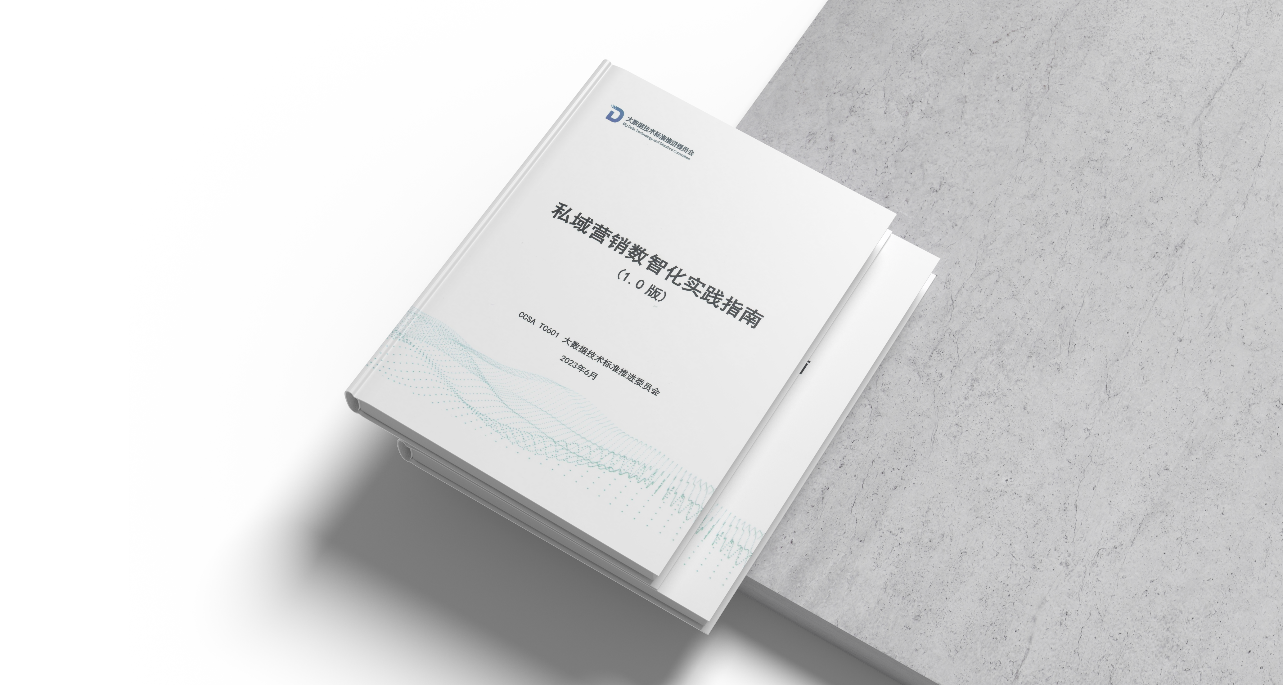 实践指南.png
