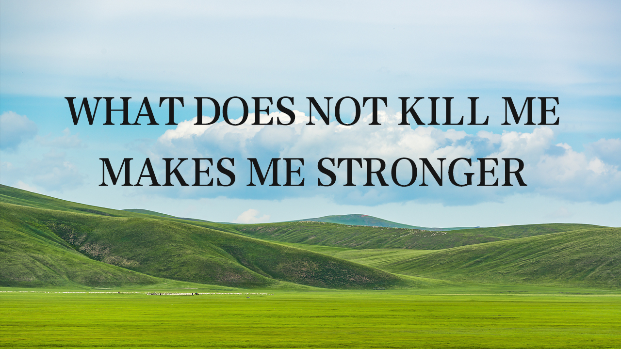 ed189fb9acf918576211c3436f373a6c.png